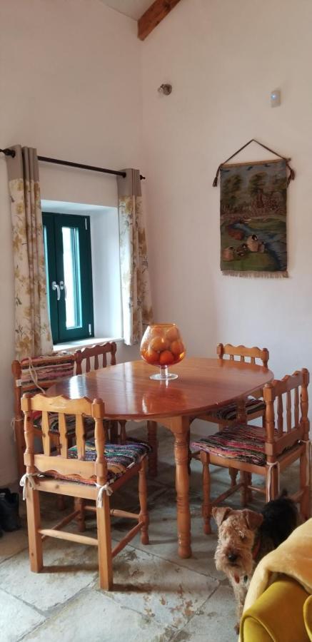Dorinda Daire Agia Marina  Dış mekan fotoğraf